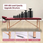 Draagbare opvouwbare massagetafel met draagtas